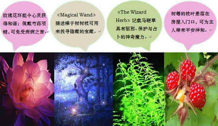 数据恢复软件 绿色-绿色数据恢复软件：如魔法师般让消失的文件轻松回归