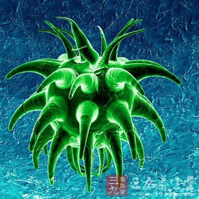 呼吸道合胞病毒 图片-呼吸道合胞病毒：冬季肆虐的呼吸道捣蛋鬼，老人小孩需警惕