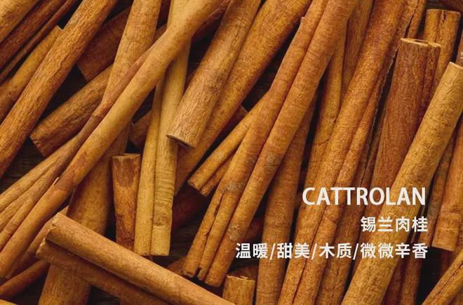 有长寿的哮喘病人吗-哮喘不可怕，学会与它相处，保持好心情，健康生活