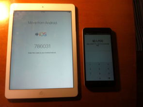 ipad使用安卓系统,系统融合下的创新体