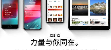 安卓系统代码bug,代码漏洞背后的惊心动