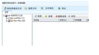 安卓系统相册误删,找回丢失照片的实用方法