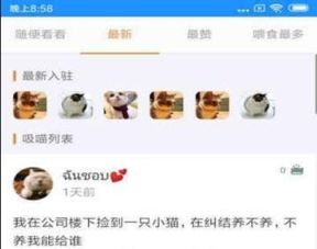 安卓系统猫猫助手在哪,猫猫助手功能解析与