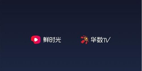 鲜时光安卓系统,安卓系统下的全新体验之旅